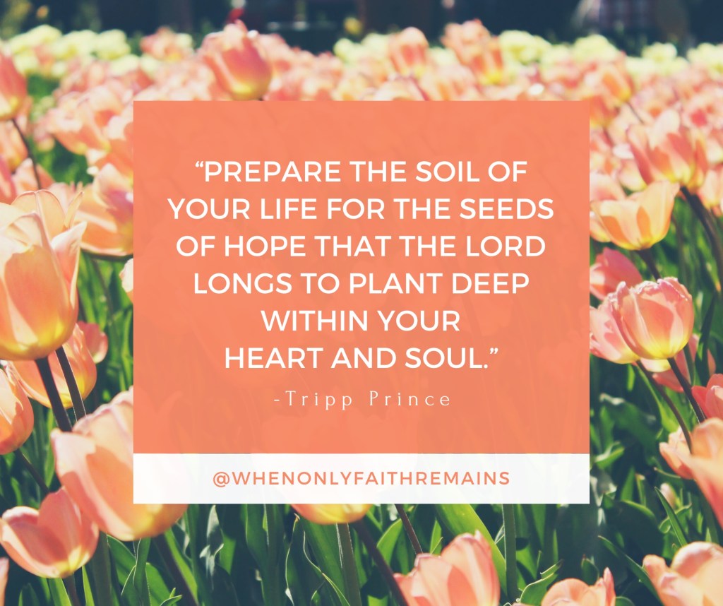 Prepare the Soil of Your Life for The Good&nbsp;News